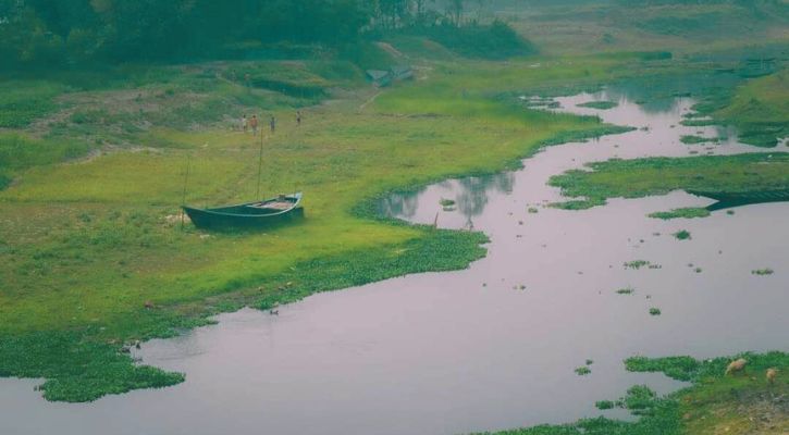 প্রাকৃতিক দৃশ্য